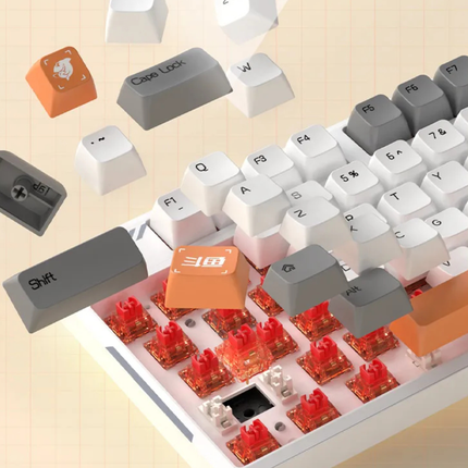 Ajazz DKW400 – Tri-Mode Mechanical Keyboard – Hot-Swappable – 87 Keys