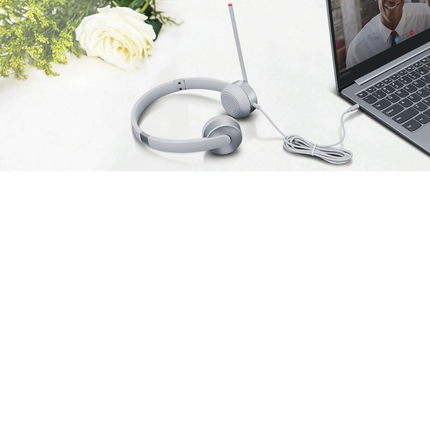 🎧 Lenovo 100 Stereo Headset