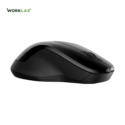 HP Wireless Dual Mouse 250 (1600 DPI)
