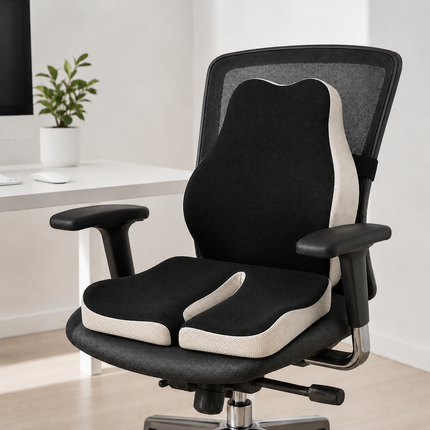 Seating Package memory foam ( Full Size )